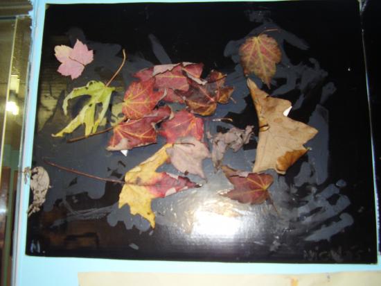 L'automne