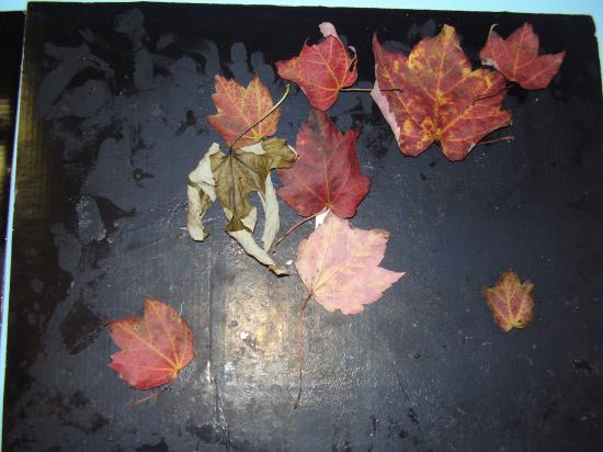 L'automne